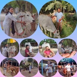 WhatsApp Image 2021-05-04 at 4.37.44 PM