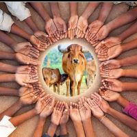 WhatsApp Image 2021-06-27 at 11.55.31 AM